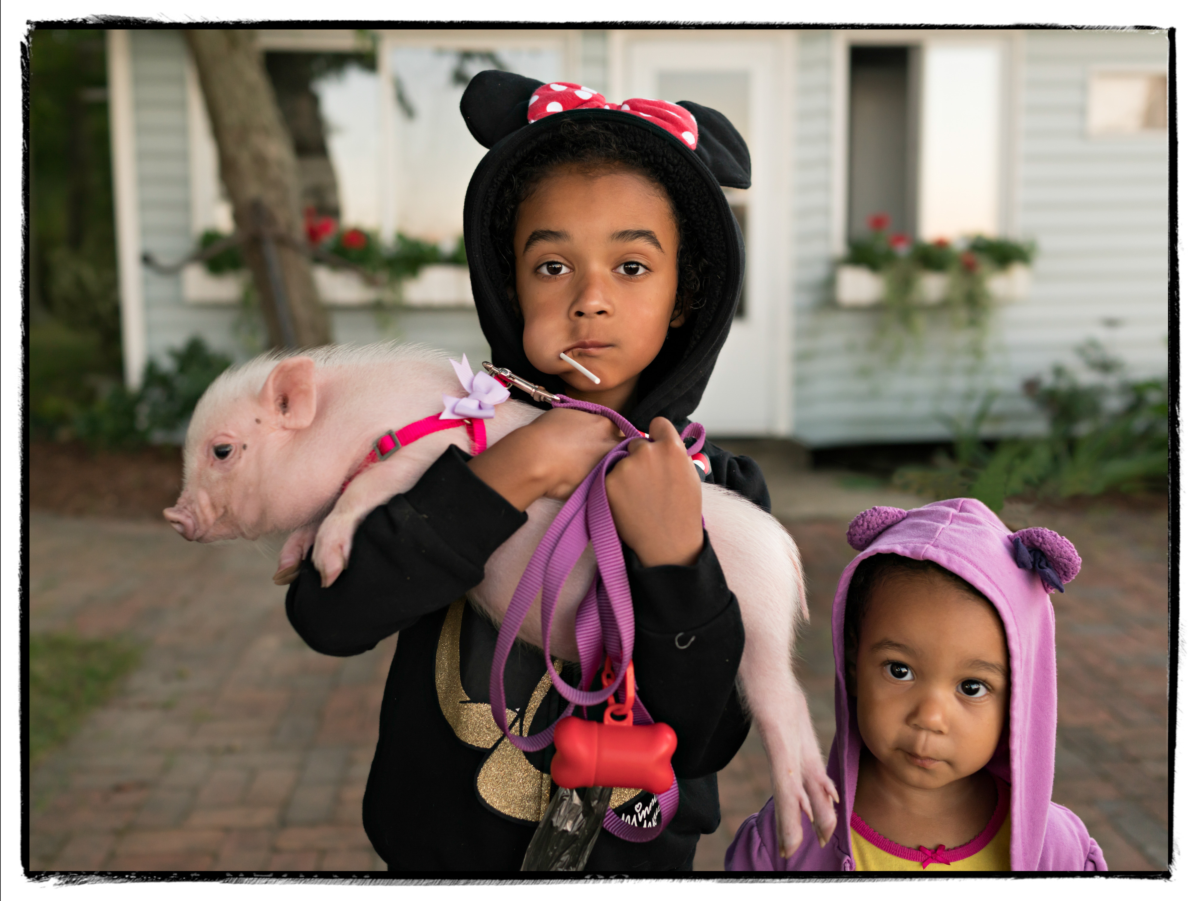 Two sisters pose for a portrait while the older sister in the middle holds their pet pig.
