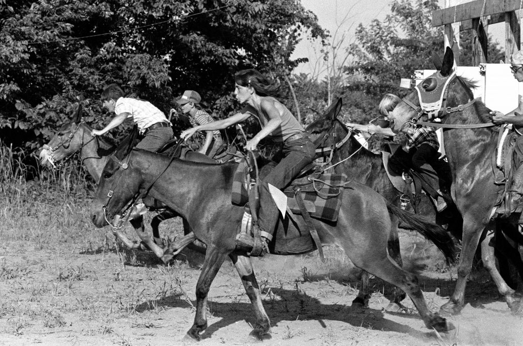 A group of riders take of from the starting line in a mule race.