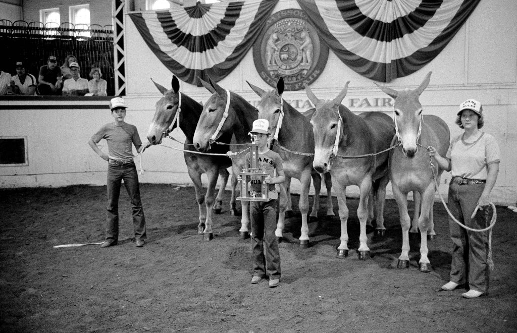 A young boy stands with a trophy in front of a group mules while two other young people keep the mules in place.