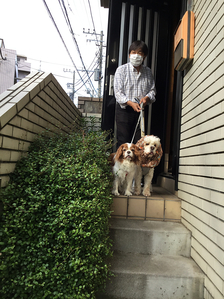 A man wearing a face mask steps out of a house to walk two dogs on a leash.