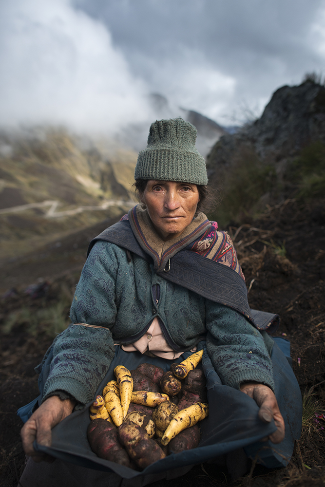 A person sits with freshly harvested potatoes.