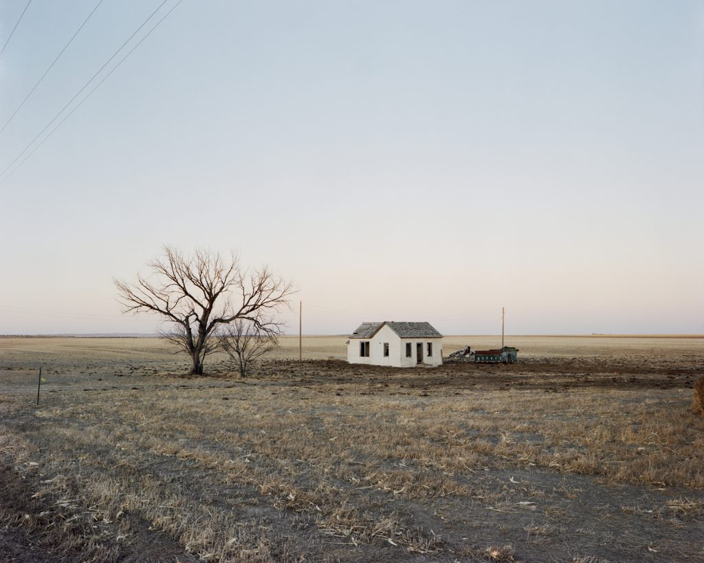 A small house stands next to a barren tree on a flat prairie