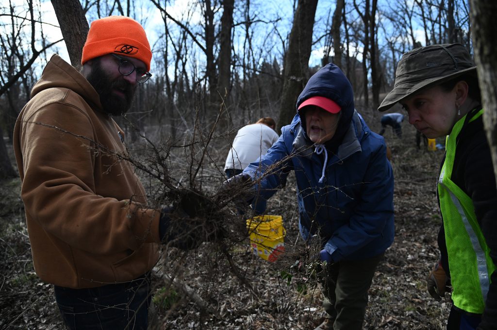 Photograph of people inspecting the roots of a plant