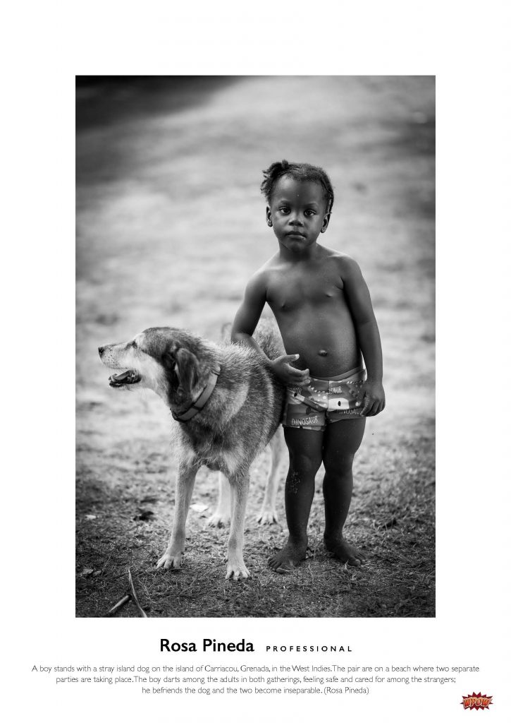 Photograph of a young child with a dog.